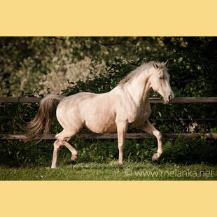 Click to view Fullsize Image